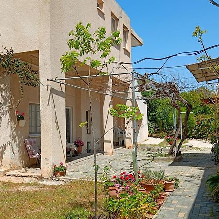 The Grapevine Guest House Paphos Esterno foto