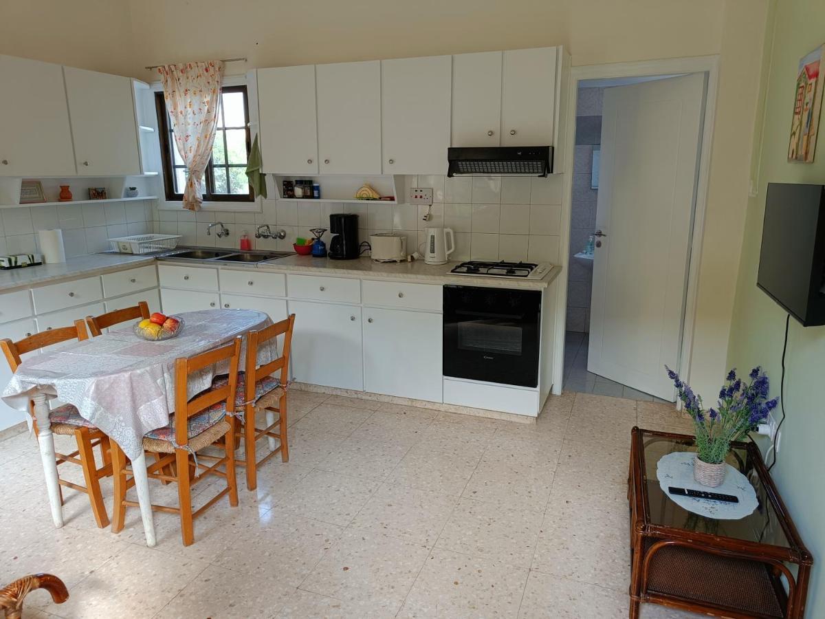 The Grapevine Guest House Paphos Esterno foto